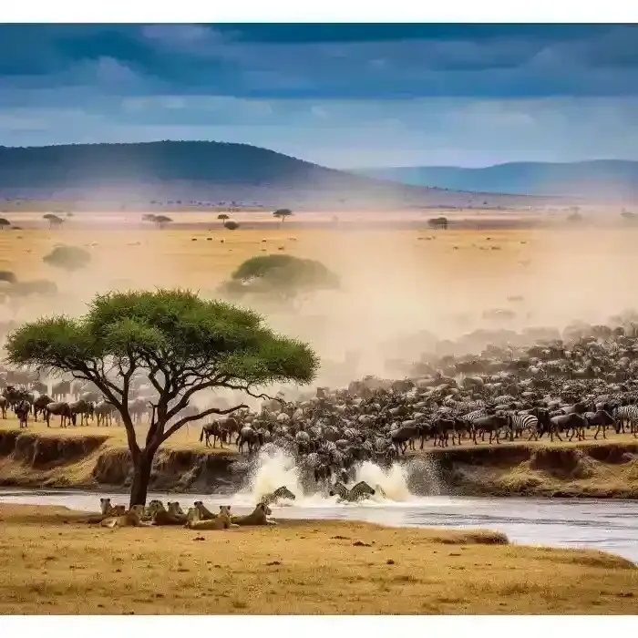 Maasai Mara National Reserve