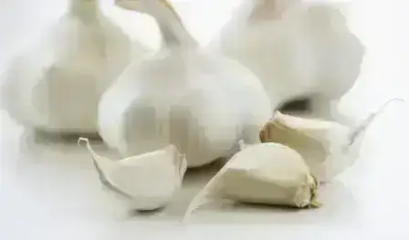 GarlicHerb GarlicHerb